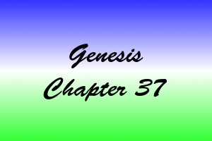 cen genesis 46